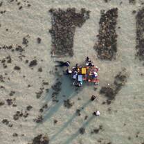 a team of people planting corals