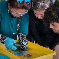 showing volunteers how to plant corals