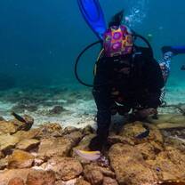 monica planting and monitoring corals