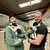 Animal Rescue volunteering Ireland