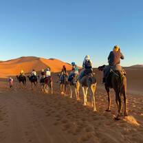 Unforgettable adventures across Morocco! Beyond daily language classes, our travel-study excursions take students into the heart of the Sahara Desert to experience the country’s breathtaking landscapes and rich regional heritage firsthand.