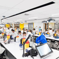 Students Working in the Lab