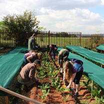Volunteering & Gardening