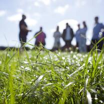 Field Trips as part of your study