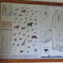Volunteers completing a mammal checklist survey, Kenya