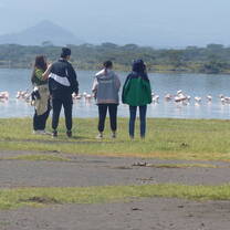 Wetland bird monitoring at Soysambu Conservancy, Kenya