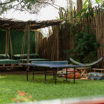 Accom backyard