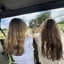 Safari