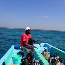 Shaibu