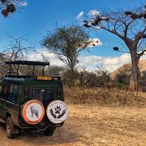 Hyena research tanzania