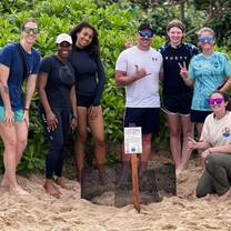 Marine Turtle Conservation Okinawa