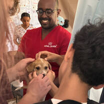 VISIONS Dominican Republic spay and neuter clinic
