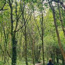 Irlanda