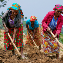 Study Abroad in Rwanda