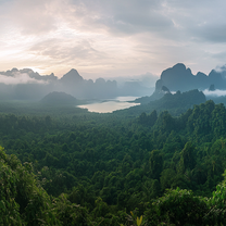 Study Abroad in Thailand