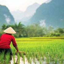 Study Abroad in Vietnam