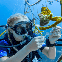 Teen Volunteering Mexico - Marine Conservation Diving Expidition