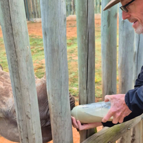 Rhino Conservation South Africa