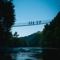 Borneo Bridge 
