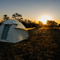 South Africa Tent