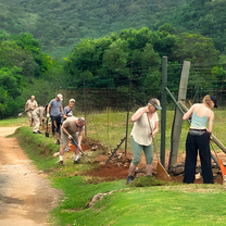 Conservation and Wildlife Volunteering