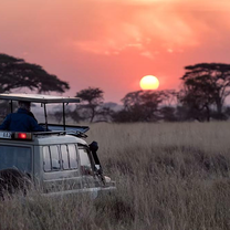 South Africa Game Drive