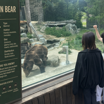 the zoo