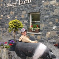 Causey Farm Causey Farm