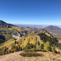 View in the West Elks 