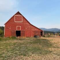 The barn