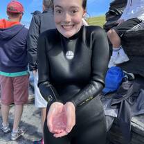 Holding a moon jelly a non stinging jellyfish 