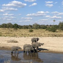 tarangire safari