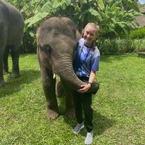 Elephant PooPoo Paper Park