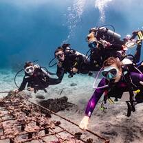 Becoming mama of baby corals