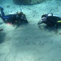 Diving in Antigua