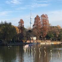 Skytree