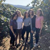 Picking kiwis in kibbutz baram 