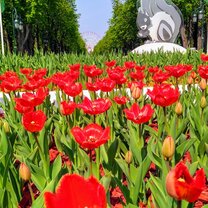 Gorky Park in Kharkiv, Ukraine