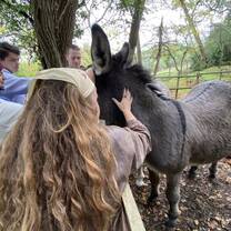 Petting Donkeys at a vineyard in Tuscany 
