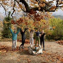 Raking leaves for compost