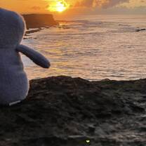 Ugly monster at sunset