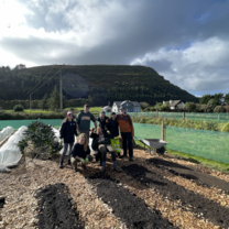 knocknarea farm
