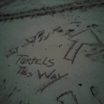 Sometimes I needed to wait a bit for the turtle to be done nesting, so I got a bit creative. 