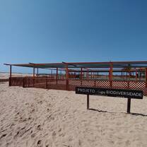 The hatchery where the volunteers are working