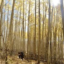 Backpacking in Aspens