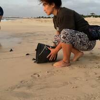 Releasing hatchlings after nest excavations