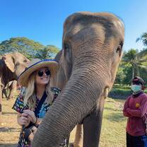 Hanging with elephants in Chiang Mai! 