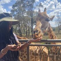 girrafe sanctuary 