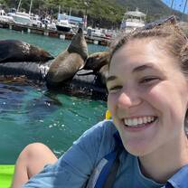 Hout Bay Harbour