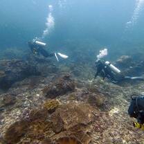 Leading my first dive!